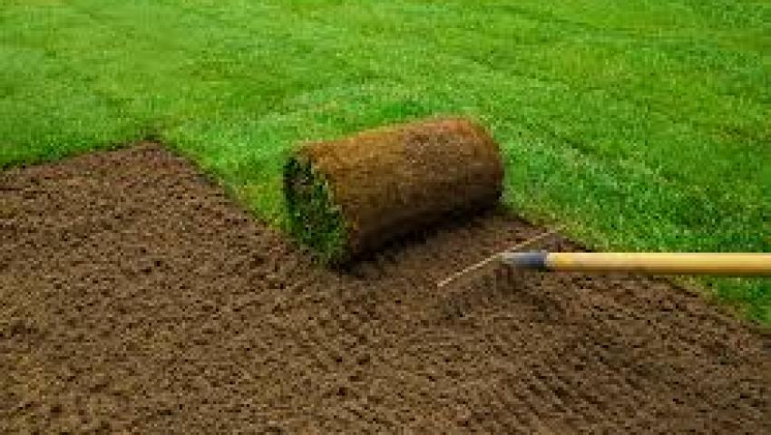 Lawn Leveling