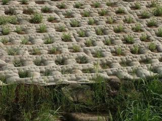 Shoreline Stabilization