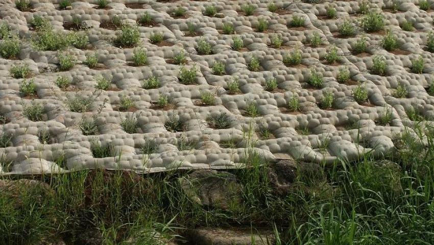 Shoreline Stabilization